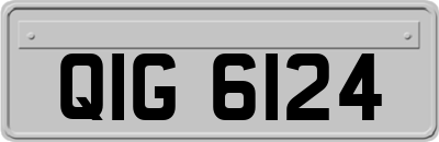 QIG6124