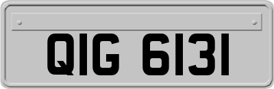 QIG6131