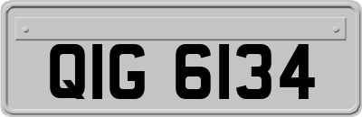QIG6134