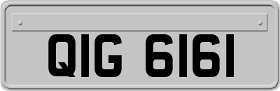 QIG6161