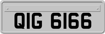 QIG6166