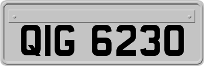 QIG6230