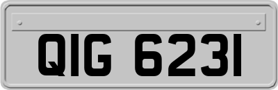 QIG6231