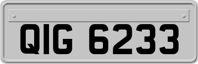 QIG6233