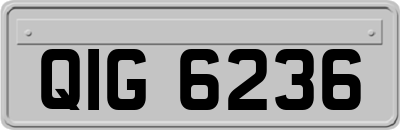 QIG6236