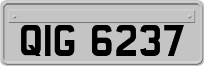 QIG6237