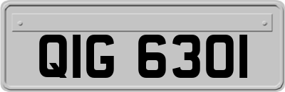 QIG6301