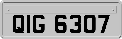 QIG6307