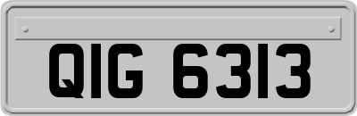 QIG6313