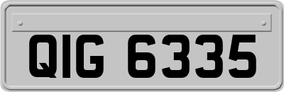 QIG6335