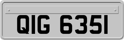 QIG6351