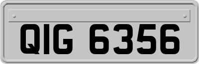 QIG6356