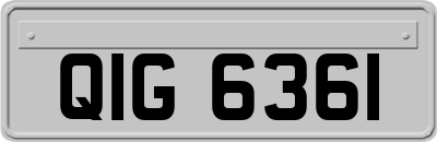 QIG6361