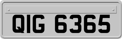 QIG6365