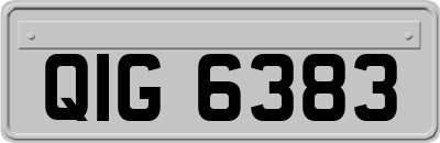 QIG6383