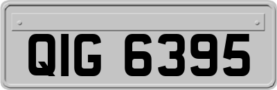 QIG6395