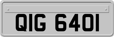 QIG6401