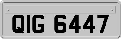 QIG6447