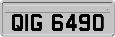 QIG6490