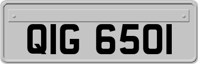 QIG6501