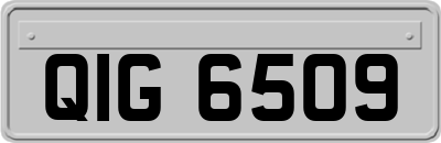 QIG6509