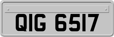 QIG6517