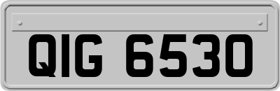QIG6530