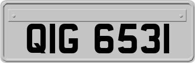 QIG6531