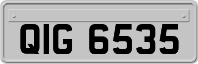 QIG6535