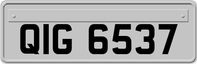 QIG6537