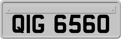 QIG6560