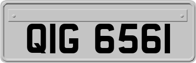 QIG6561