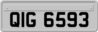 QIG6593