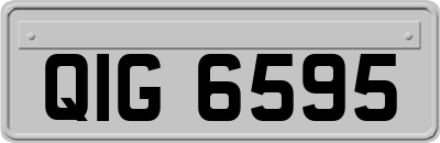 QIG6595