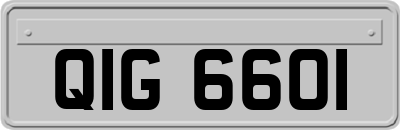QIG6601