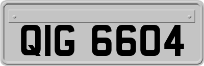 QIG6604