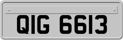 QIG6613