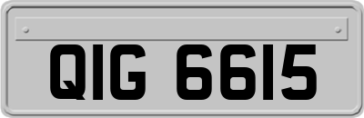 QIG6615