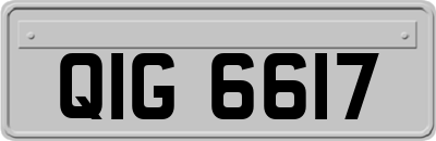 QIG6617