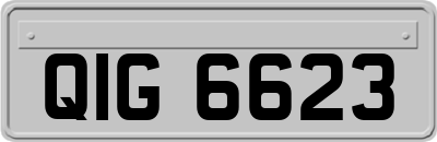 QIG6623