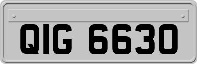 QIG6630