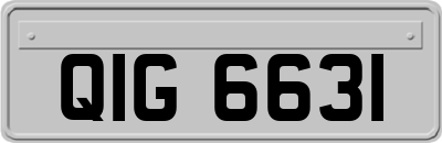 QIG6631