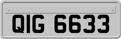 QIG6633