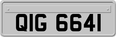 QIG6641