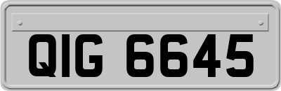 QIG6645