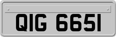 QIG6651
