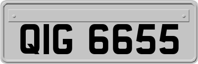 QIG6655