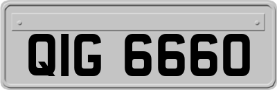 QIG6660
