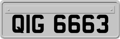 QIG6663
