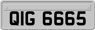 QIG6665